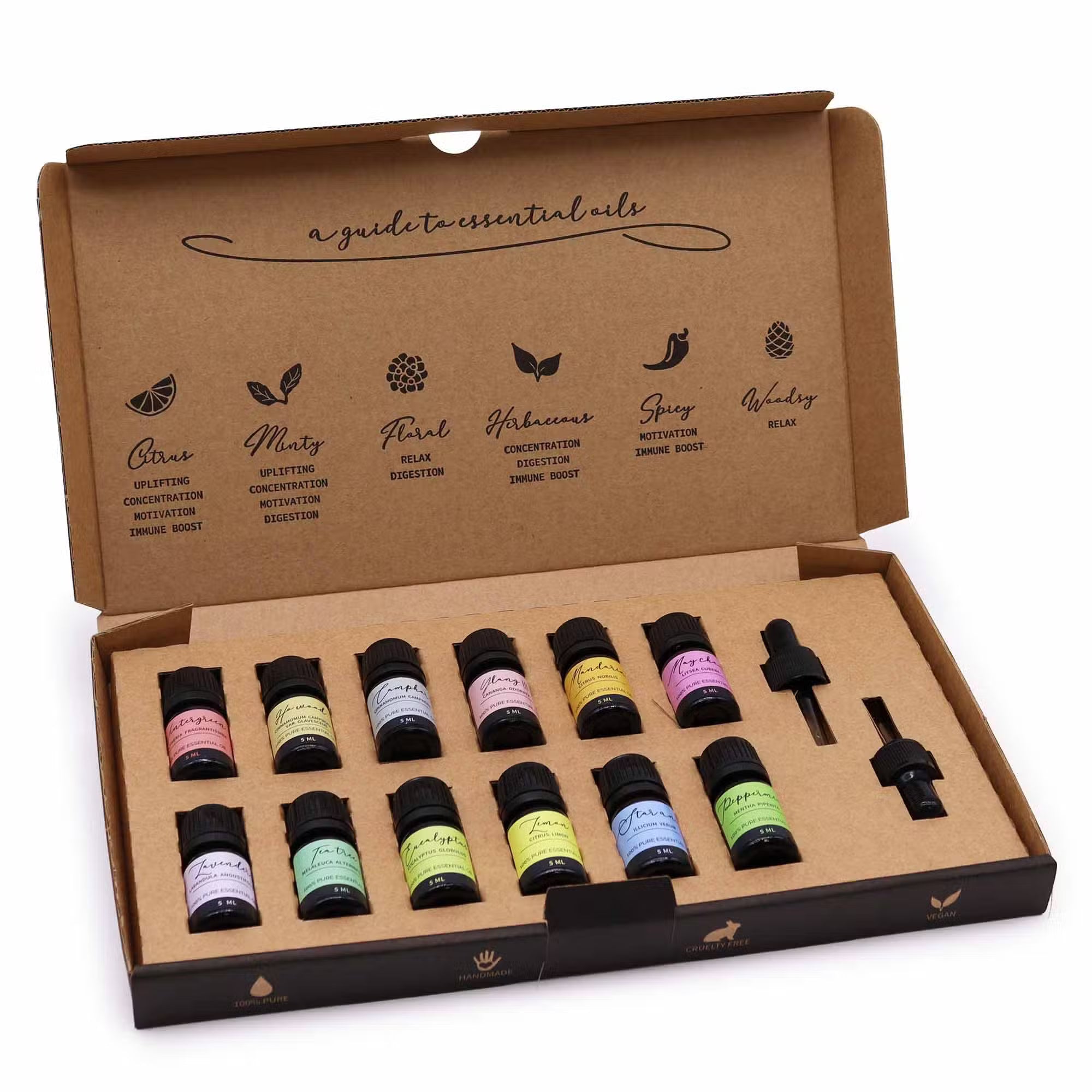 Complete aromatherapy starter set featuring 12 bottles of 100% pure essential oils — The Sanctuary Toolkit for home diffusers, massage, and natural wellness, presented in a luxury gift box.